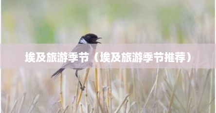 埃及旅游季节（埃及旅游季节推荐）