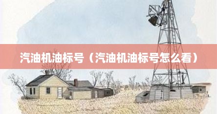 汽油机油标号（汽油机油标号怎么看）