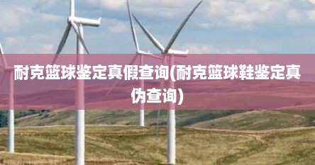 耐克篮球鉴定真假查询(耐克篮球鞋鉴定真伪查询)