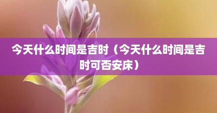 今天什么时间是吉时（今天什么时间是吉时可否安床）