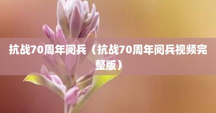 抗战70周年阅兵（抗战70周年阅兵视频完整版）