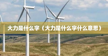 大力是什么字（大力是什么字什么意思）