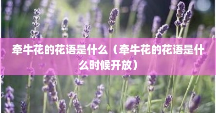 牵牛花的花语是什么（牵牛花的花语是什么时候开放）