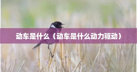 动车是什么（动车是什么动力驱动）
