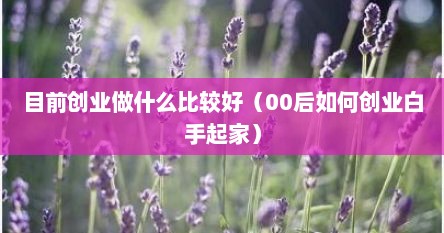 目前创业做什么比较好（00后如何创业白手起家）