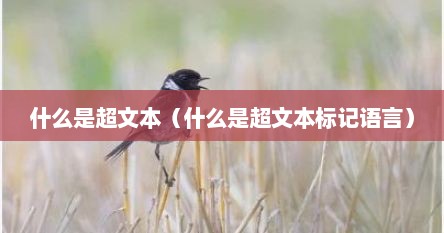 什么是超文本（什么是超文本标记语言）