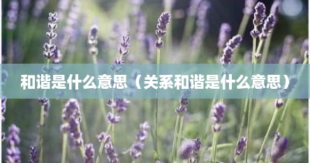 和谐是什么意思（关系和谐是什么意思）