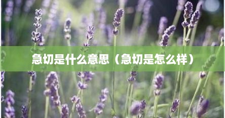 急切是什么意思（急切是怎么样）