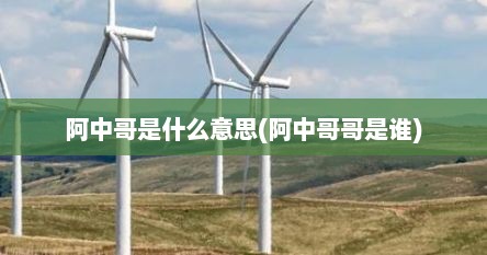 阿中哥是什么意思(阿中哥哥是谁)