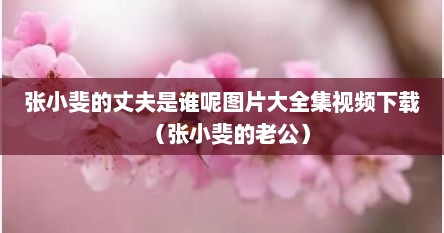 张小斐的丈夫是谁呢图片大全集视频下载（张小斐的老公）