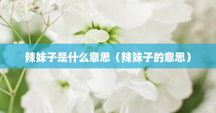 辣妹子是什么意思（辣妹子的意思）