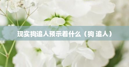 现实狗追人预示着什么（狗 追人）