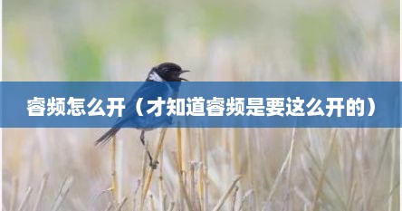 睿频怎么开（才知道睿频是要这么开的）