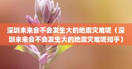 深圳未来会不会发生大的地震灾难呢（深圳未来会不会发生大的地震灾难呢知乎）