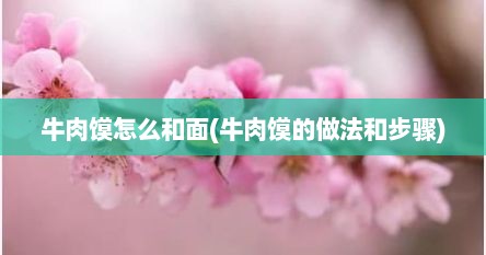 牛肉馍怎么和面(牛肉馍的做法和步骤)