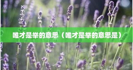 唯才是举的意思（唯才是举的意思是）