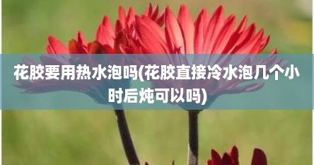 花胶要用热水泡吗(花胶直接冷水泡几个小时后炖可以吗)
