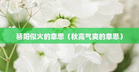 骄阳似火的意思（秋高气爽的意思）