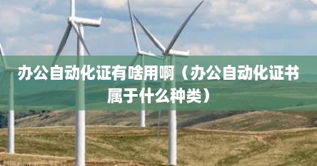 办公自动化证有啥用啊（办公自动化证书属于什么种类）