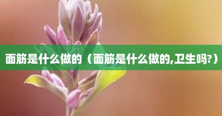 面筋是什么做的（面筋是什么做的,卫生吗?）