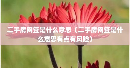 二手房网签备案是什么意思（二手房房产网签是什么意思）