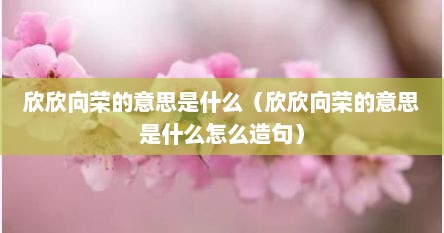 欣欣向荣的意思是什么（欣欣向荣的意思是什么怎么造句）