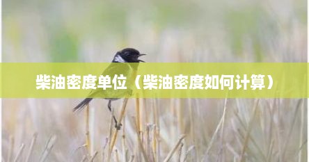 柴油密度单位（柴油密度如何计算）
