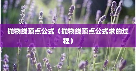 抛物线顶点公式（抛物线顶点公式求的过程）
