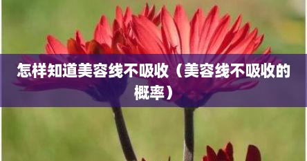 怎样知道美容线不吸收（美容线不吸收的概率）