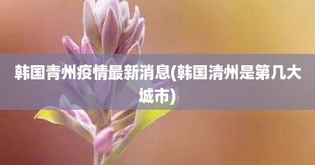 韩国青州疫情最新消息(韩国清州是第几大城市)