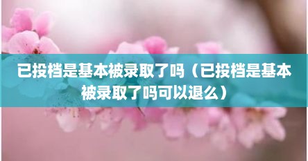 已投档是基本被录取了吗（已投档是基本被录取了吗可以退么）