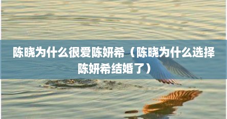 陈晓为什么很爱陈妍希（陈晓为什么选择陈妍希结婚了）