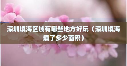 深圳填海区域有哪些地方好玩（深圳填海填了多少面积）