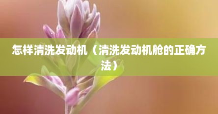 怎样清洗发动机（清洗发动机舱的正确方法）