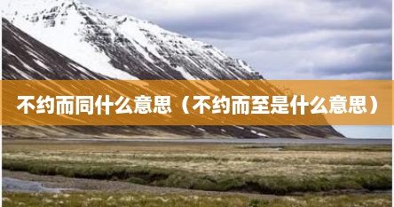 不约而同什么意思（不约而至是什么意思）