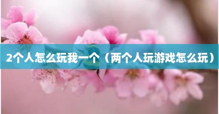 2个人怎么玩我一个（两个人玩游戏怎么玩）