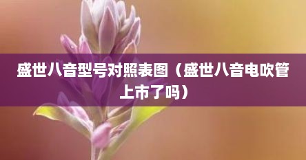 盛世八音型号对照表图（盛世八音电吹管上市了吗）