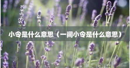 小令是什么意思（一阙小令是什么意思）