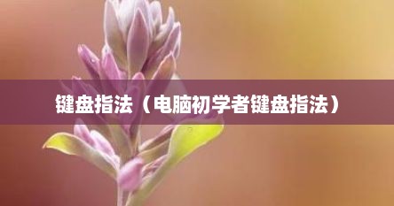 键盘指法（电脑初学者键盘指法）