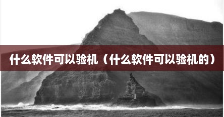 什么软件可以验机（什么软件可以验机的）