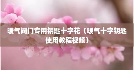 暖气阀门专用钥匙十字花（暖气十字钥匙使用教程视频）
