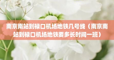 南京南站到禄口机场地铁几号线（南京南站到禄口机场地铁要多长时间一班）