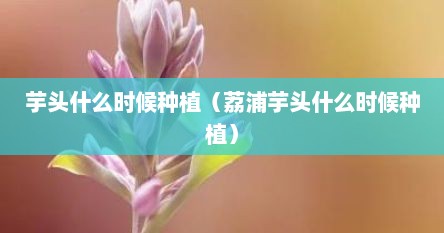 芋头什么时候种植（荔浦芋头什么时候种植）