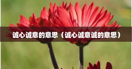 诚心诚意的意思（诚心诚意诚的意思）