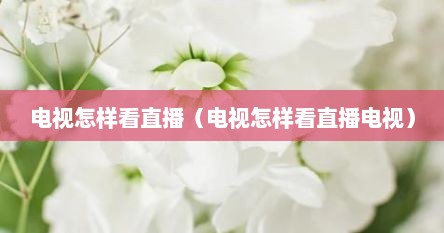 电视怎样看直播（电视怎样看直播电视）
