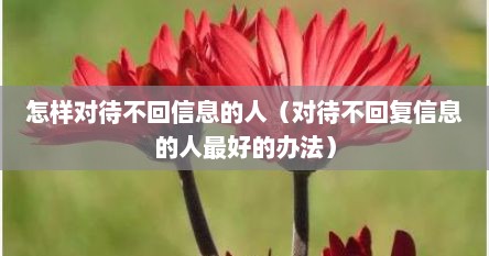 怎样对待不回信息的人（对待不回复信息的人最好的办法）