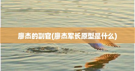 廖杰的副官(廖杰军长原型是什么)