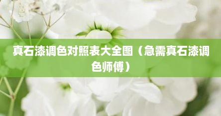 真石漆调色对照表大全图（急需真石漆调色师傅）