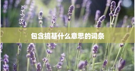 包含搞基什么意思的词条