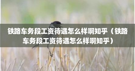 铁路车务段工资待遇怎么样啊知乎（铁路车务段工资待遇怎么样啊知乎）